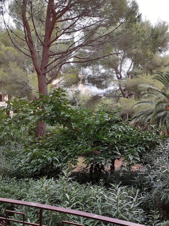 Residence Porto Di Mar Cavalaire 外观 照片